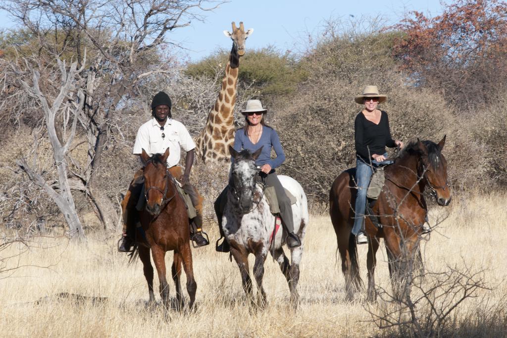 Royal Tree Lodge Maun Eksteriør bilde
