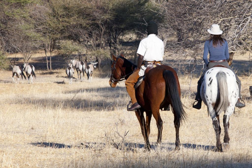 Royal Tree Lodge Maun Eksteriør bilde