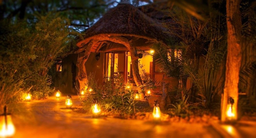 Royal Tree Lodge Maun Eksteriør bilde