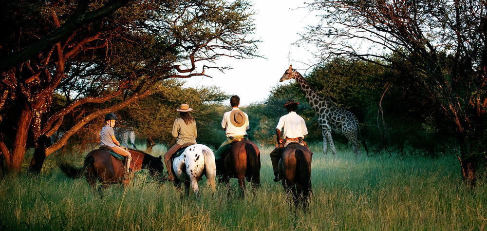 Royal Tree Lodge Maun Eksteriør bilde