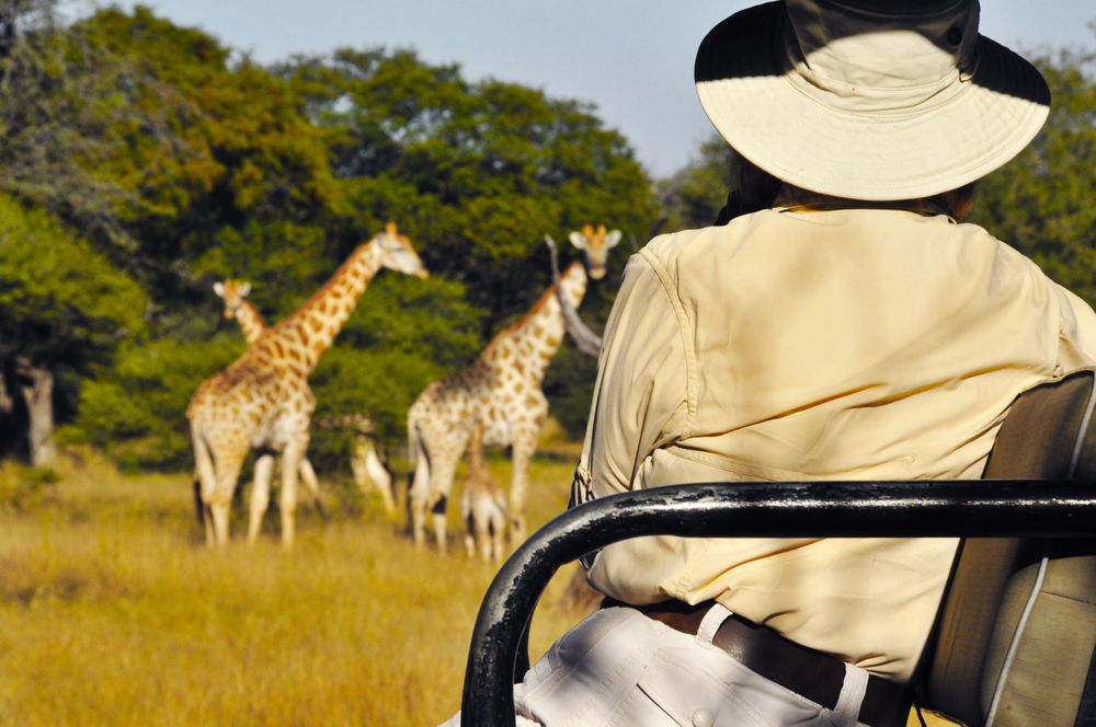 Royal Tree Lodge Maun Eksteriør bilde