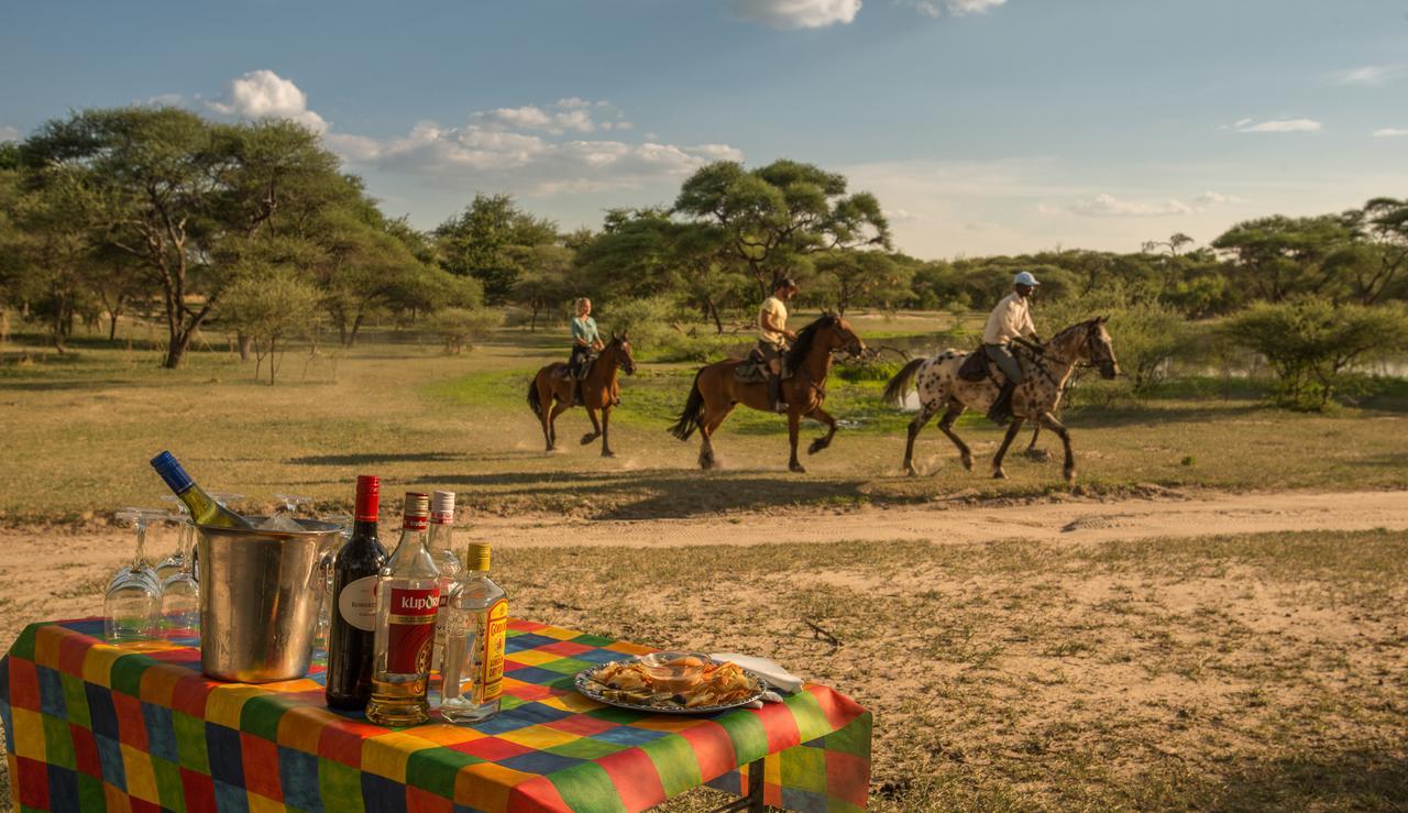 Royal Tree Lodge Maun Eksteriør bilde