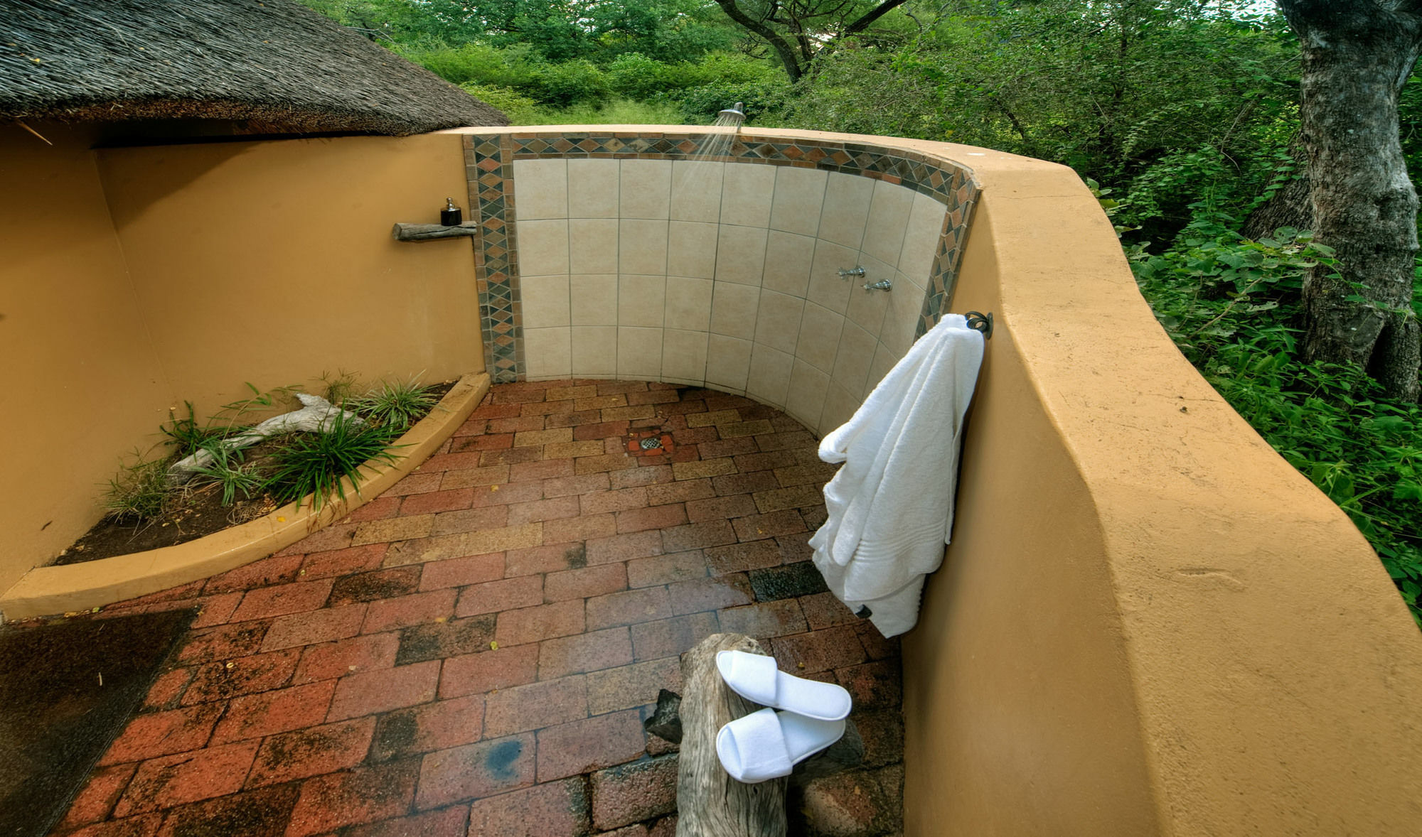 Royal Tree Lodge Maun Eksteriør bilde