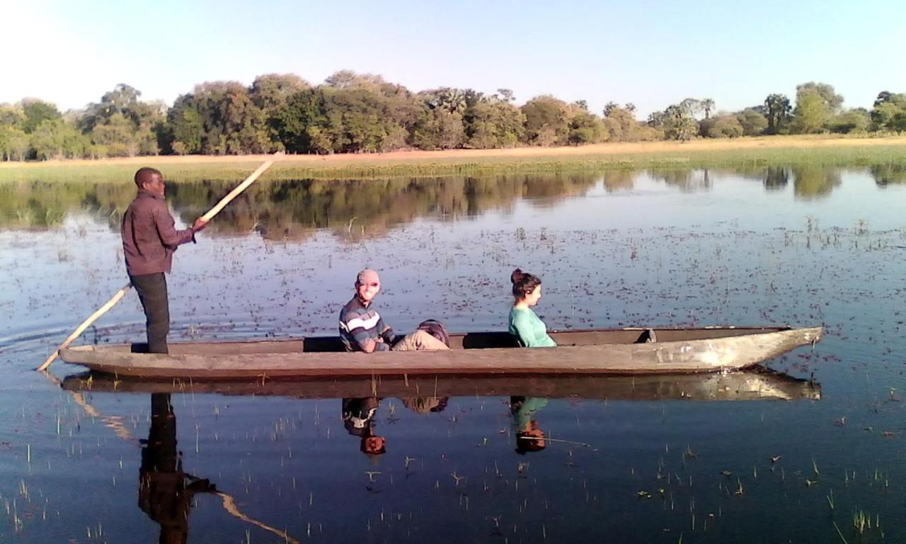 Royal Tree Lodge Maun Eksteriør bilde